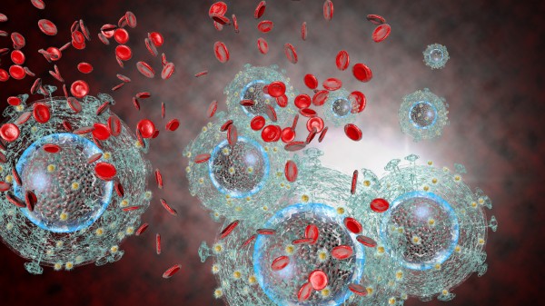 Antikörper gegen multiresistente HIV-Infektion in den USA zugelassen