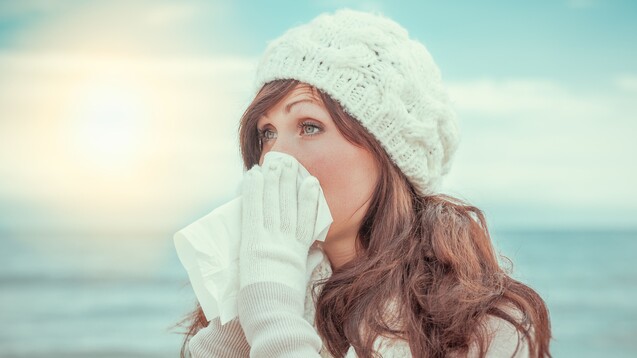 Wie erkennt man, ob man einfach erkältet ist oder sich die Influenza, Virusgrippe, eingefangen hat? Und was hilft bei Grippe am besten? Die FDA gibt Patiententipps. (s / Foto: detailblick-foto / stock.adobe.com)&nbsp;