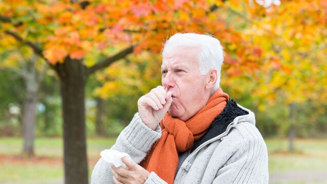 Weniger Exazerbationen bei COPD-Patienten durch prophylaktische Antibiose. (c / Foto: drubig-photo / stock.adobe.com)
