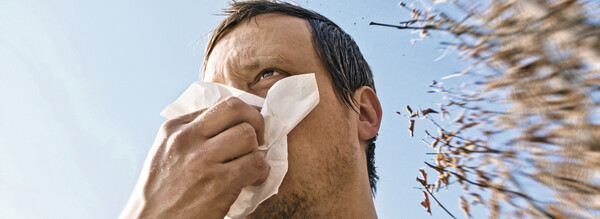 Die Allergie bekämpfen mit Cortison