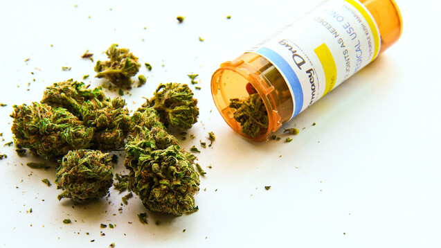 Cannabis in Arzneiqualität – für Apotheken eine Herausforderung im Alltag. (Foto: Adam / stock.adobe.com)