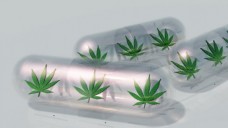 Zwei DAT-Anträge beschäftigen sich mit dem medizinischen Einsatz von Cannabis. (Bild: rolffimages/Fotolia)