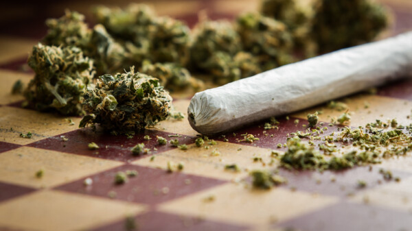 Legalisierung von Cannabis rückt näher
