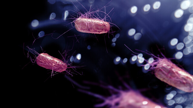Visualisierung von E. Coli-Bakterien. Lässt sich die Darmspiegelung künftig mit Bakterien erledigen? (s / Bild: Ezume Images / AdobeStock)