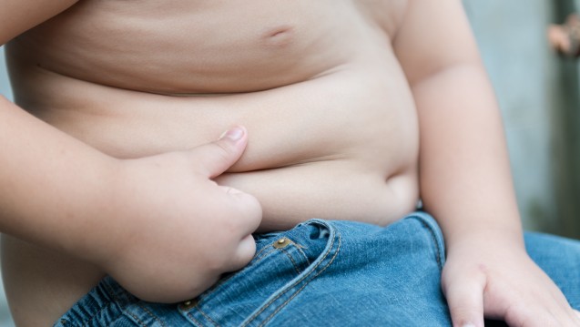 Einer Untersuchung zufolge sind immer mehr Kinder übergewichtig. (Foto: kwanchaichaiudom / stock.adobe.com)
