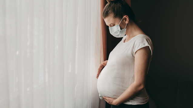 Eigentlich sollte das Ungeborene während der Schwangerschaft durch das mütterliche Immunsystem vor Infektionen geschützt sein, aber klappt das auch immer? (x / Foto: lesia17 / stock.adobe.com)