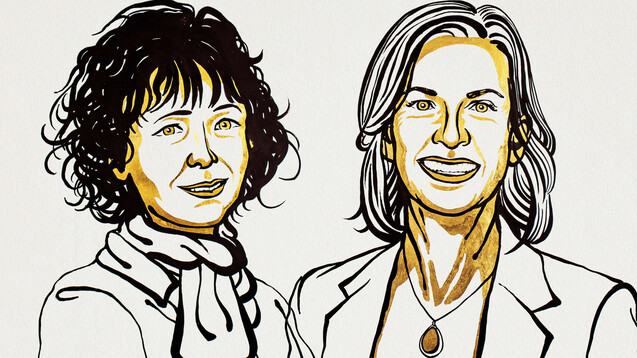 Für die Entdeckung der genetischen Schere CRISOR/Cas9 erhielten die Wissenschaftlerinnen Emmanuelle Charpentier (l.) und Jennifer A. Doudna den Nobelpreis in Chemie. (Illustration: Niklas Elmehed for Nobel Media)