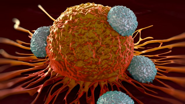 Forscher
aus Bonn und Magdeburg haben eine mögliche Ursache dafür entdeckt, dass Krebs-Immuntherapien nicht immer ansprechen. (Foto: royaltystockphoto / Fotolia)
