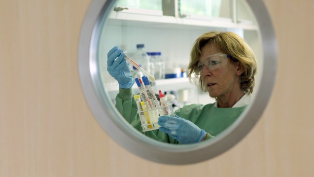 Das Institut für Virologie der Philipps-Universität-Marburg gehört heute zu einem der führenden Forschungsinstitute in der Infektiologie. (Foto: picture-alliance / dpa)
