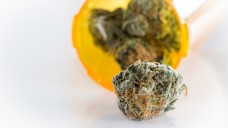 Wie werten Apotheker die neuen Regelungen zu Cannabis als Medizin? (Foto: Wollertz / Fotolia)