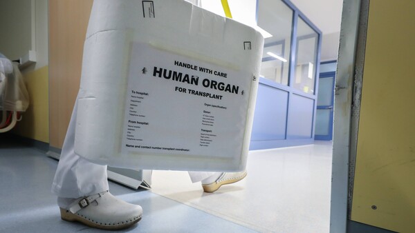 18 Prozent mehr Organspender 