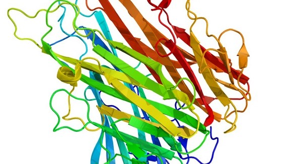 In den USA kämpfen Generika-Hersteller gegen Patente. In Deutschland ist das erste Biosimilar des TNF-α-Inhibitors Etanercept (Enbrell) bereits eingeführt worden. (Foto: iculig / Fotolia.com)