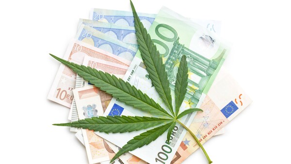 Vorerst kein Export von „Cannabis made in Germany“