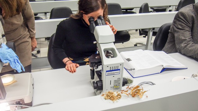 „Wir wollten nicht nur Mikroskopie machen, sondern auch Gentechnik“, sagt Professor Fürst vom Institut Pharmazeutische Biologie. (Foto: Schneider / DAZ.online)