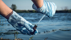 Nicht nur über das Wasser nimmt der Mensch Giftstoffe auf. (c / Foto: Natali / AdobeStock)