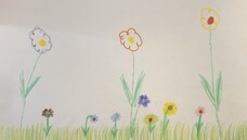 Die ersten Blumenbild-Kunstwerke der Kinder haben die Central-Apotheke von Jan Reuter bereits erreicht. Bis die eigene Bienenweide blüht, dürfte es aber noch ein bisschen dauern. (m / Foto: Central-Apotheke, Walldürn)