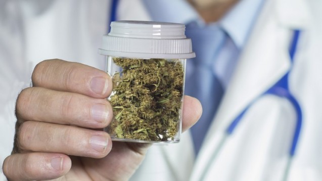 Cannabis als Medizin - die Regierung besteht auf geprüfte Arzneimittelqualität. (Foto: Willian Casey/Fotolia)