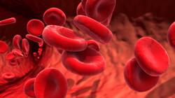Patienten mit Hämophilie A haben einen Mangel an Faktor VIII und damit eine gestörte Blutgerinnung. (Foto: Design Cells / AdobeStock)