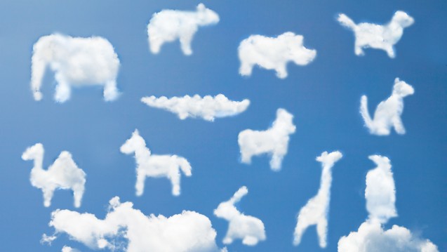 Durch Giraffen streicheln: Verschwinden die dunklen Wolken der Depression, und alles wird ein bisschen heller? (Foto: phloxii / Fotolia)