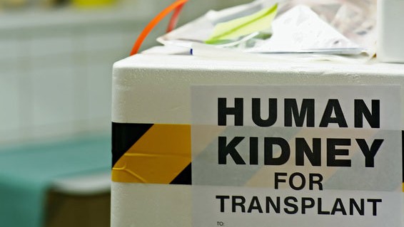 „Transplantationsregister wird keine Lebensjahre retten“